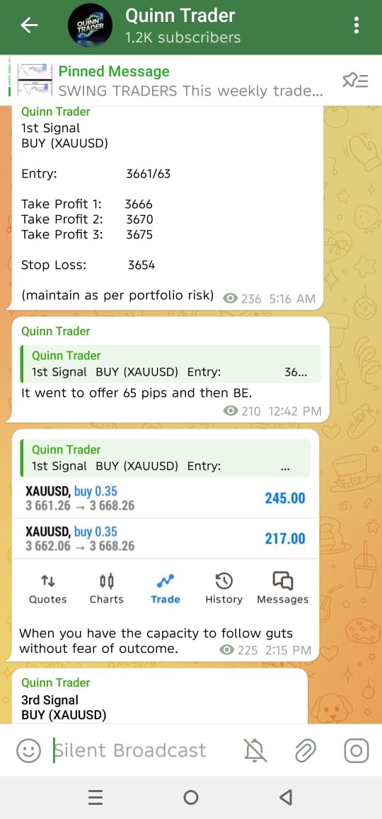 whatsapp image 2025 09 26 at 17.02.20 323f2542